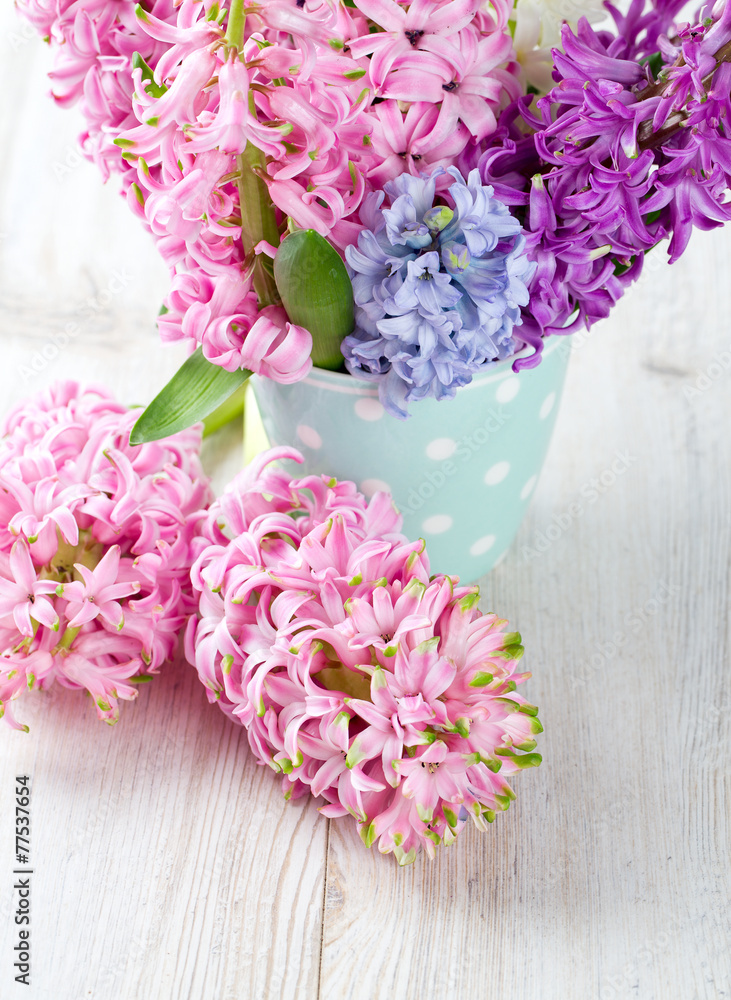 Obraz premium colorful hyacinth flowers in a polka dot cup