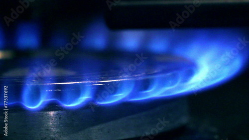 cooker gas hob with flames burning