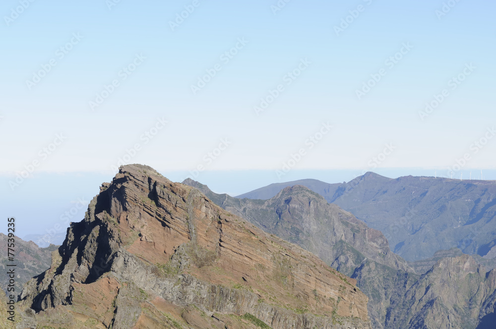 Obraz premium madeira 98