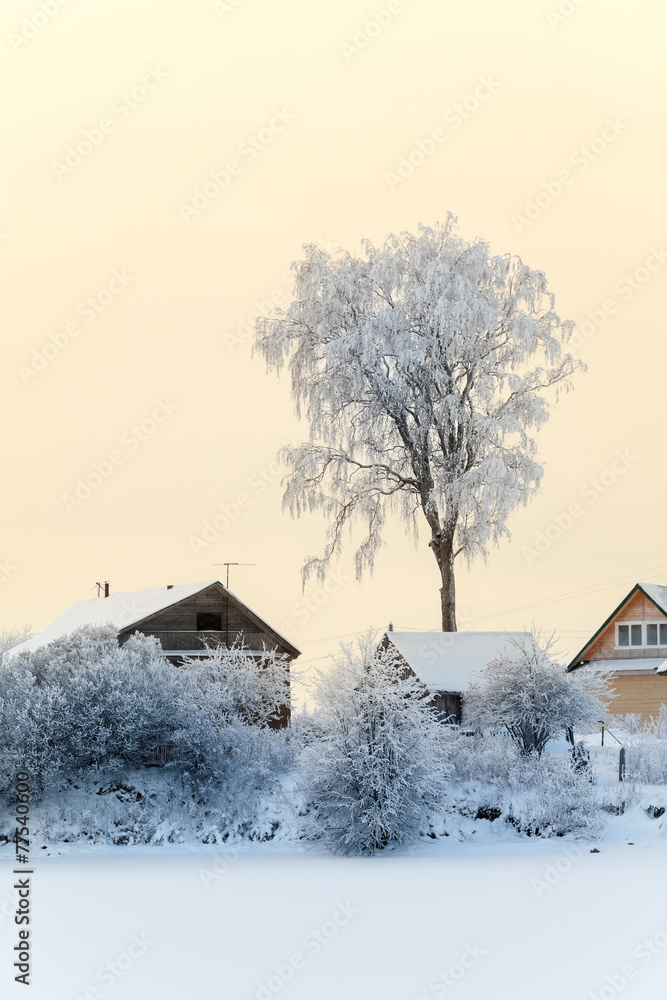 Village on frozen lake shore with snow covered roofs, winter
