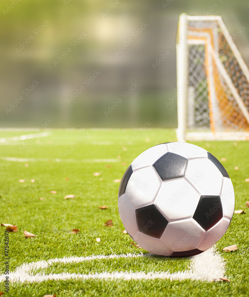 Obraz premium The football field