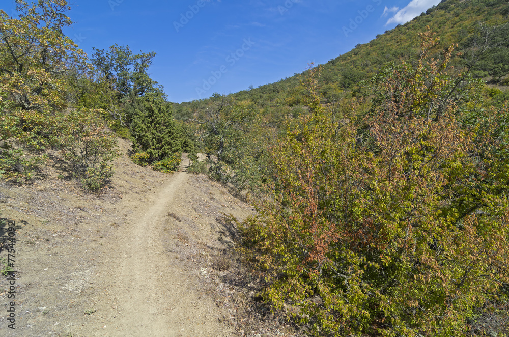 Walking trail in the Crimean mountains. Walking trail in the Crimean mountains.