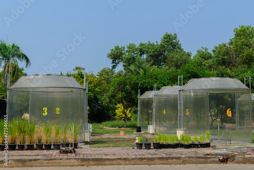 climatic chamber for plant response to greenhouse effect experim photo