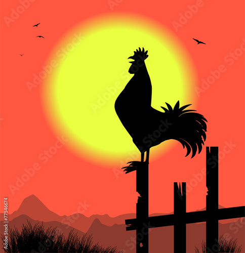 silhouette di gallo