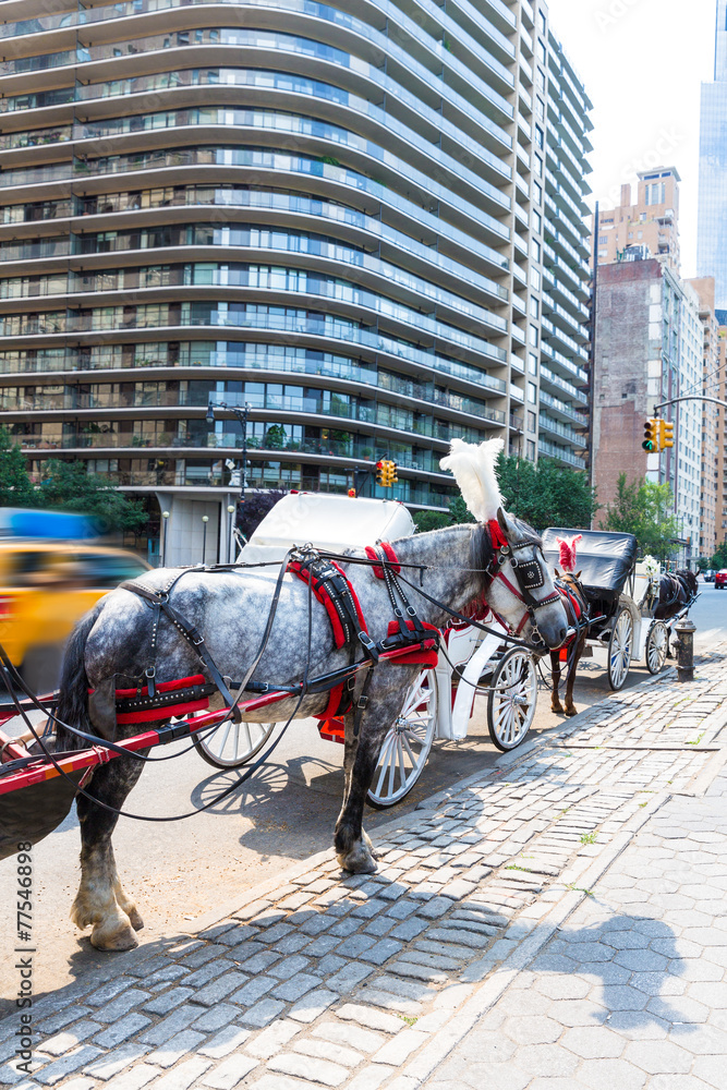 Central Park horse carriage rides in New York Central Park horse carriage rides in New York