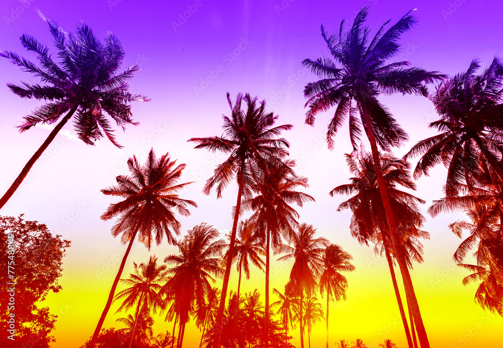Fototapeta premium Palm trees silhouettes on tropical beach at sunset.
