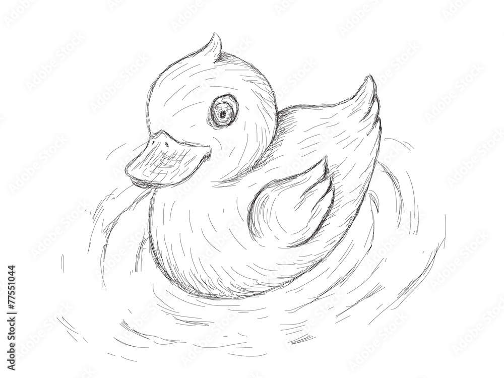 Rubber Duck, illustration in sketch style Rubber Duck, illustration in sketch style
