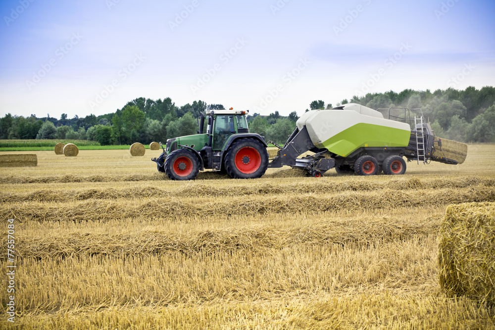 Fototapeta premium Tractor harvests wheat on a field