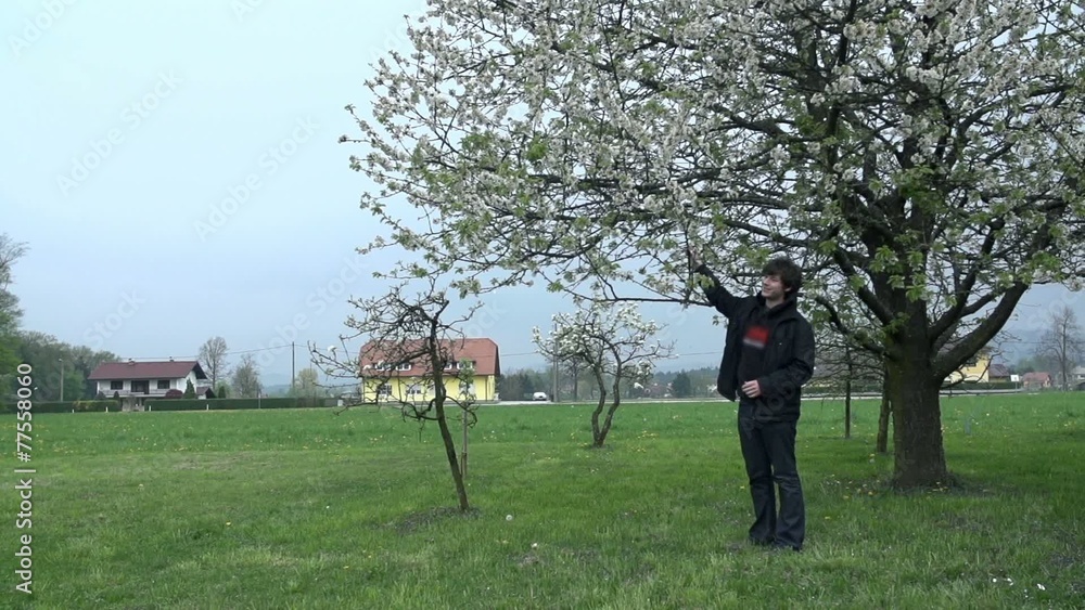 Man standing underneath blossoming tree
