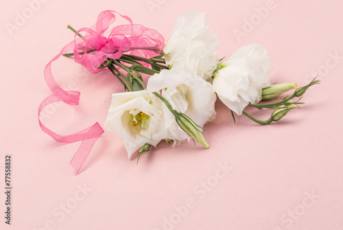 Fototapeta Naklejka Na Ścianę i Meble -  white flowers on pink