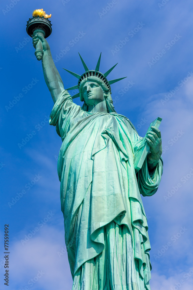 Fototapeta premium Statue of Liberty New York American Symbol USA