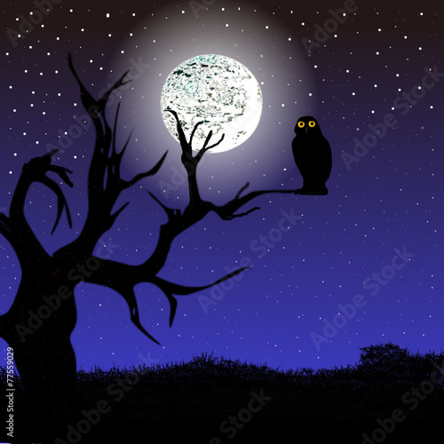paisaje nocturno