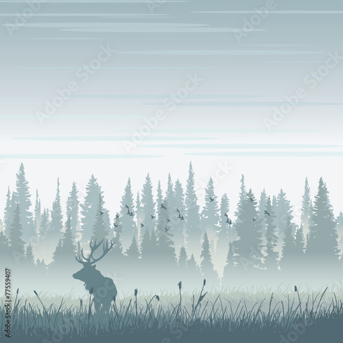 Wild moose in mountains