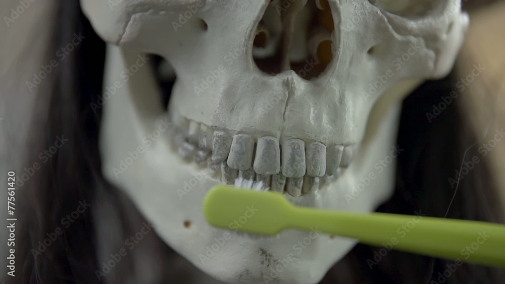 Using a toothbrush on a skull
Using a toothbrush on a skull