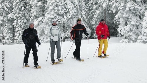 Shot of a group of people cross-country skiing in the idyllic winter soroundings photo