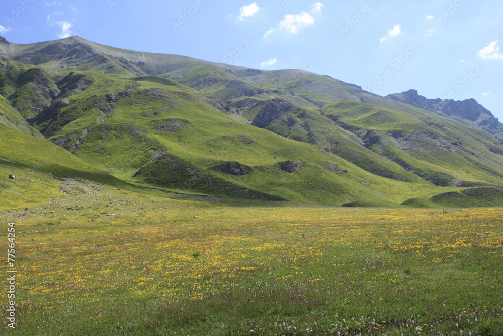Fototapeta premium Summer mountains