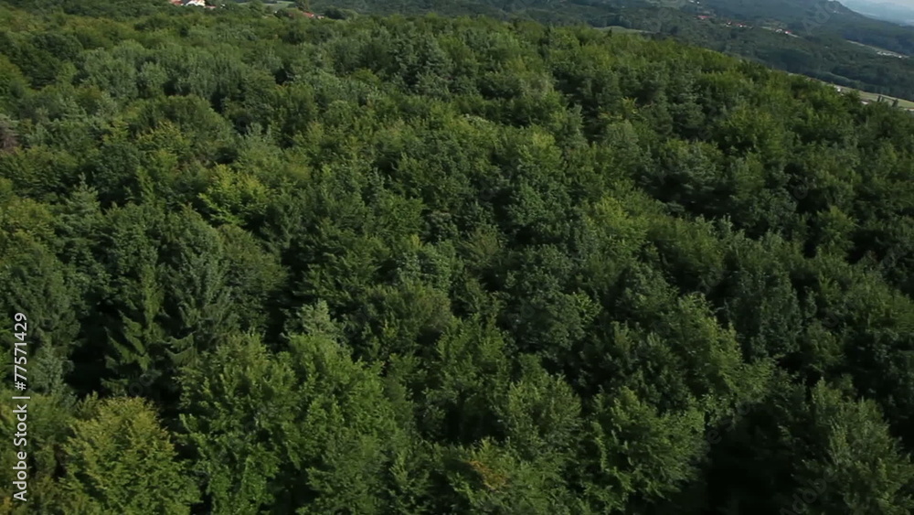 Panorama slide shot from helicopter representing hills covered with green forest Panorama slide shot from helicopter representing hills covered with green forest