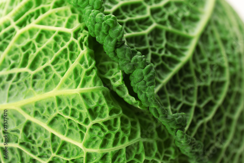 Savoy cabbage, macro view