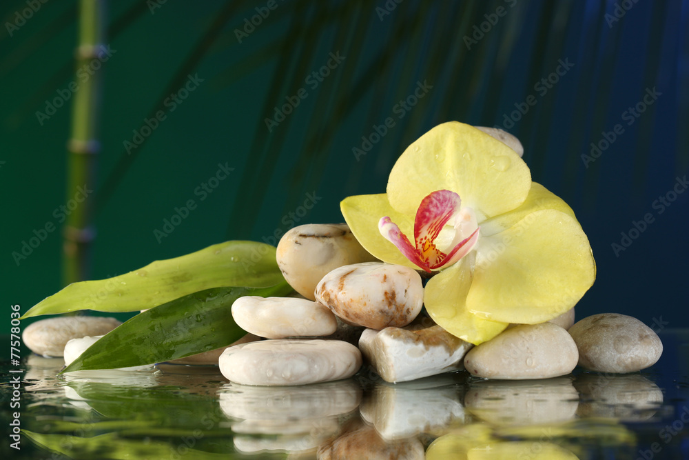 Fototapeta premium Orchid flower with water drops and pebble stones