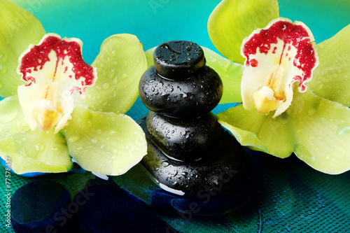 Spa stones with water drops and beautiful blooming orchid in