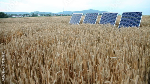 Shot of a solar panles on the golden field photo