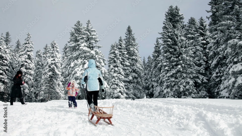 a family with children while enjoying in the idyllic soroundings a family with children while enjoying in the idyllic soroundings