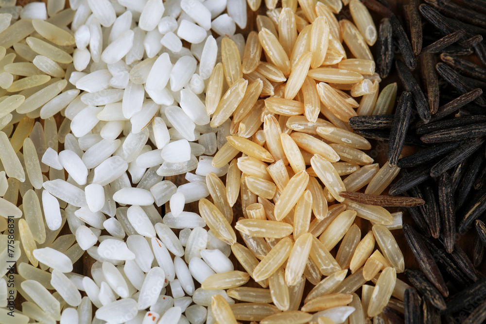 Different types of rice close up
