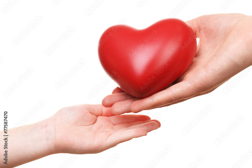 Heart in child and mother hands isolated on white Heart in child and mother hands isolated on white
