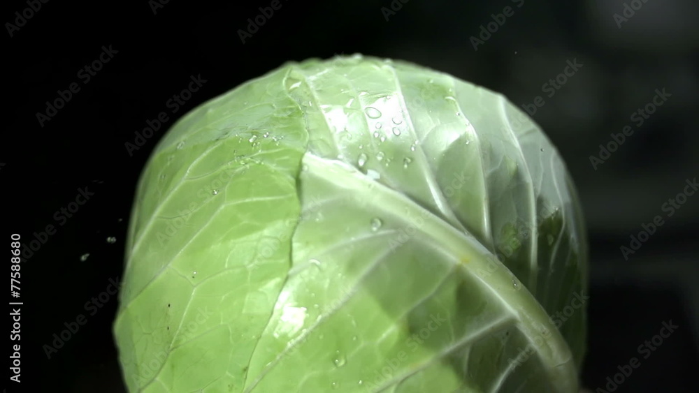 Cabbage sprinkled with drops of water Cabbage sprinkled with drops of water