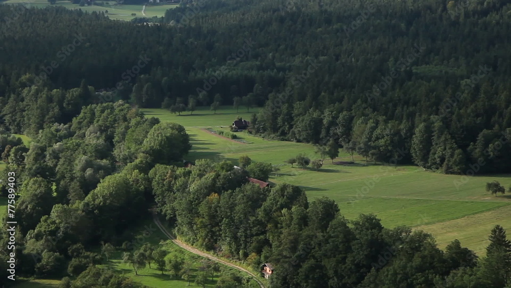 Shot of a forest made from heli Shot of a forest made from heli