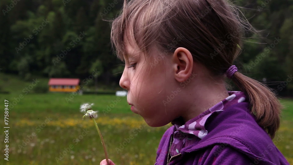 Shot of little girl blowing dandelion's blossom Shot of little girl blowing dandelion's blossom