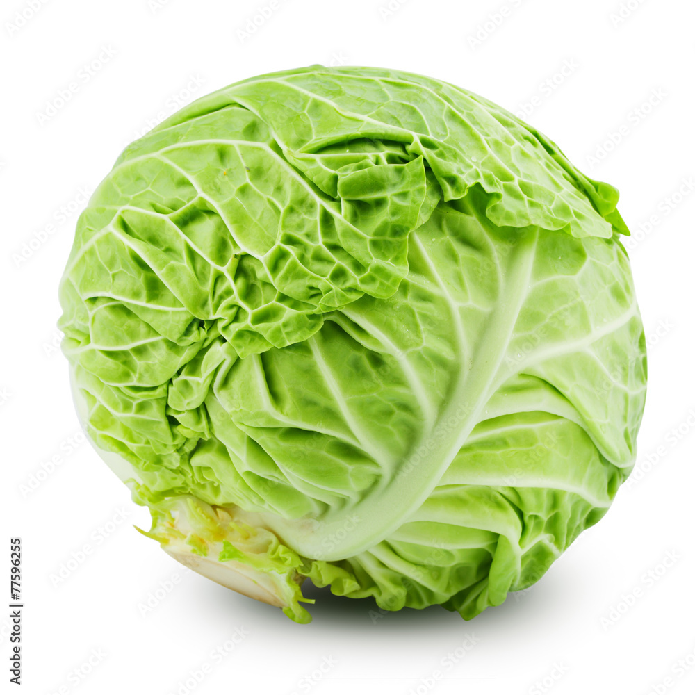 cabbage cabbage