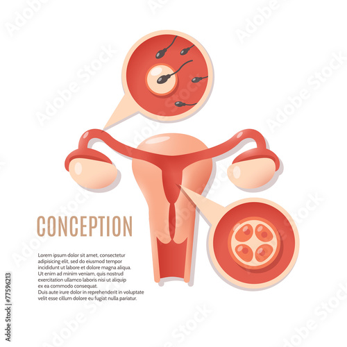 Pregnancy conception icon