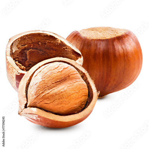 Hazelnuts isolated