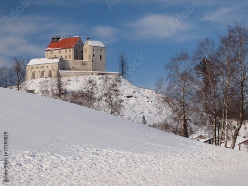 Burg/Schloss Waldburg in Oberschwaben im Winter