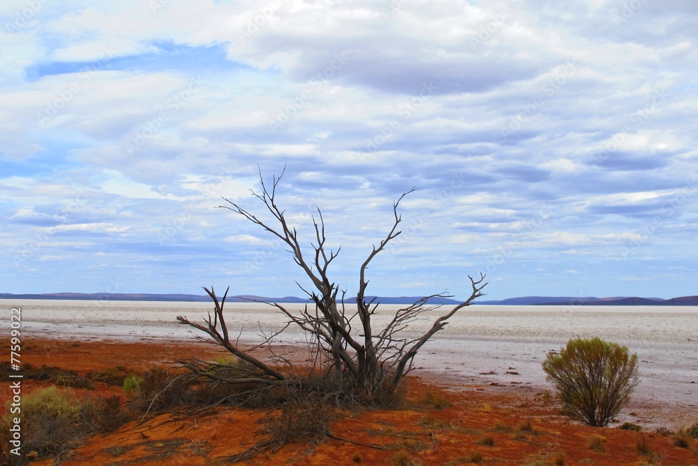 Fototapeta premium Lake Gardner, South Australia