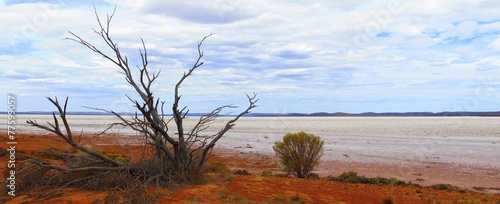 Lake Gardner, South Australia photo