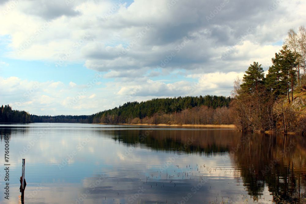 Naklejka premium весеннее озеро