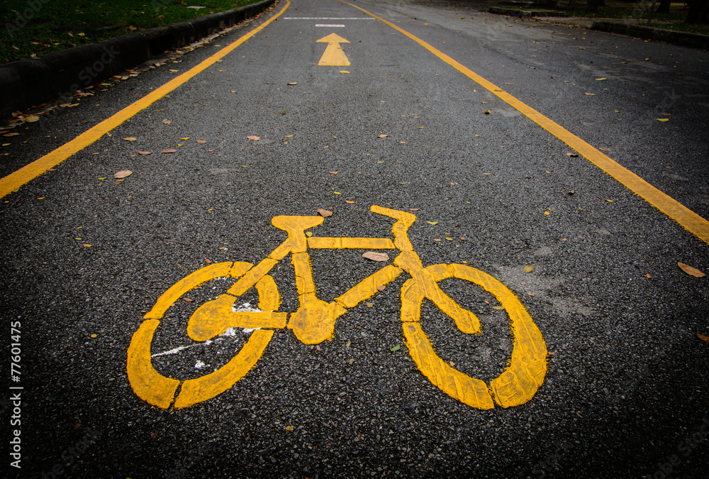 Obraz premium Bicycle lane