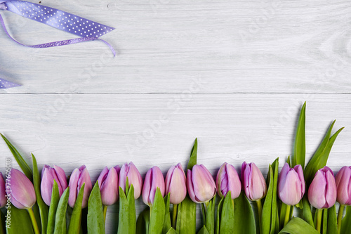 Pink tulips on white wooden background  banner