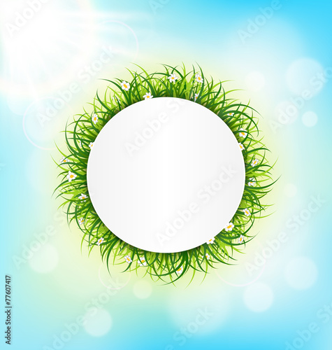 Circle frame with green grass, chamomiles and sunlight on sky ba
