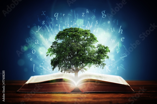 Tree of knowledge photo