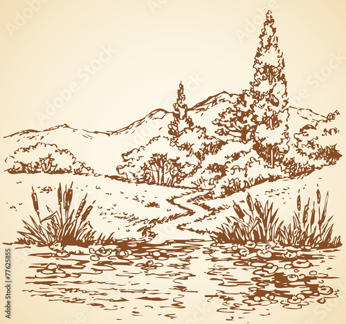 Summer landscape: trail from forest to stream. Vector sketch