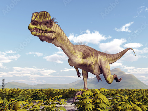 Dinosaur Dilophosaurus