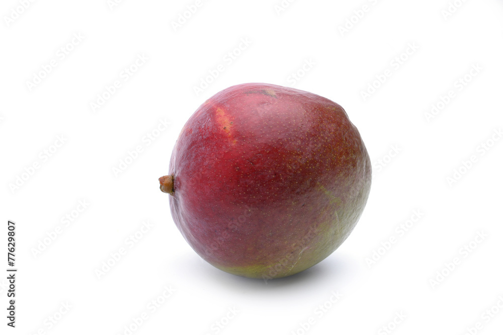 Mango fruit on white background