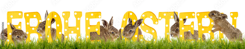 Obraz premium Frohe Ostern