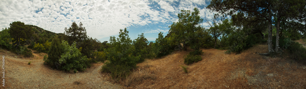 Stitched Panorama Stitched Panorama