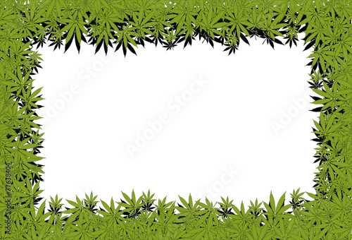 Marijuana frame
