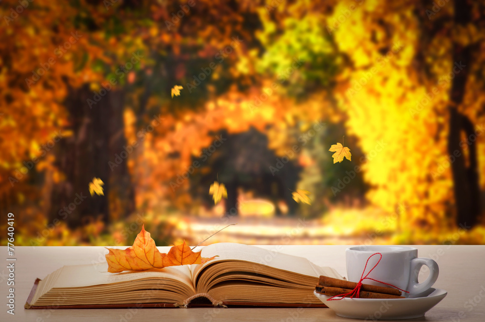 Naklejka premium Coffee, book and autumn