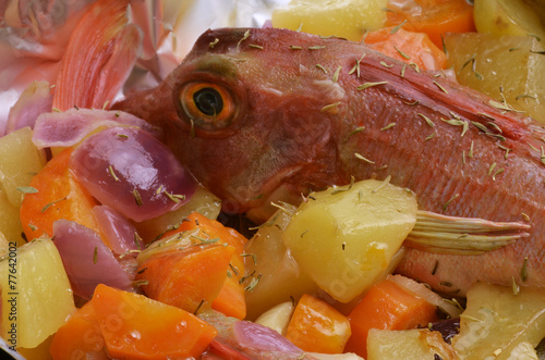 Photos Chelidonichthys lucerna Tub gurnard Gallinella Bejel Alfóndiga